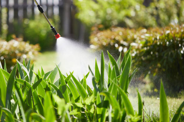 24/7 Emergency Ant Control experts in Ellensburg, WA